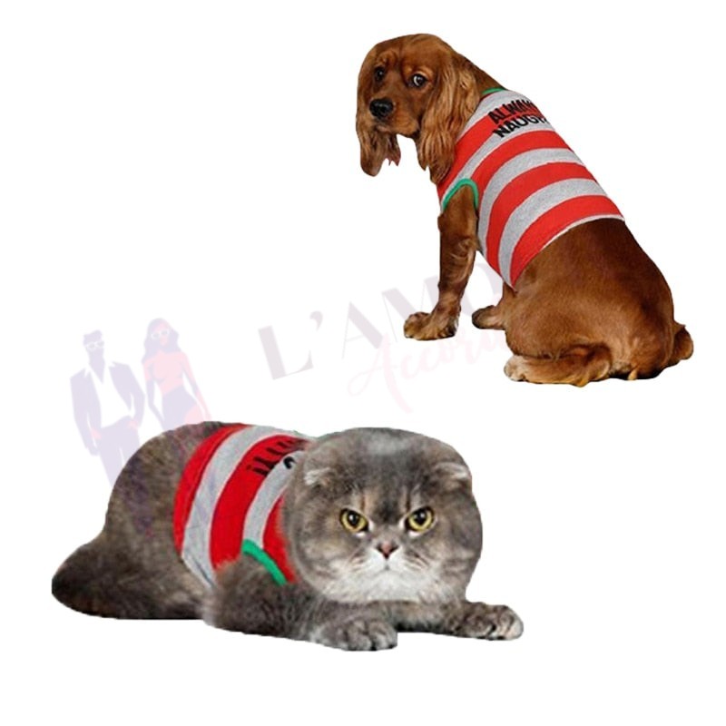 Pyjama Réveillon Noel – Image 4